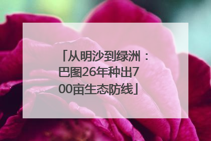 从明沙到绿洲：巴图26年种出700亩生态防线