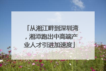 从湘江畔到深圳湾，湘潭跑出中高端产业人才引进加速度