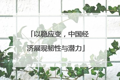 以稳应变，中国经济展现韧性与潜力
