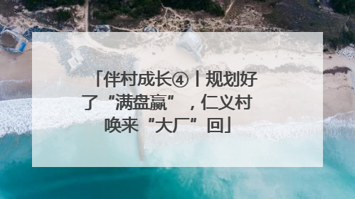伴村成长④丨规划好了“满盘赢”，仁义村唤来“大厂”回
