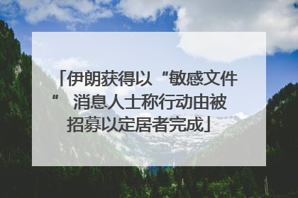 伊朗获得以“敏感文件” 消息人士称行动由被招募以定居者完成