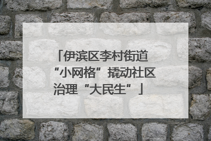 伊滨区李村街道 “小网格”撬动社区治理“大民生”