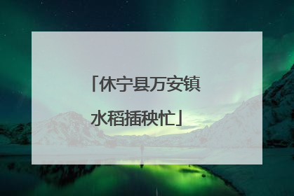 休宁县万安镇水稻插秧忙