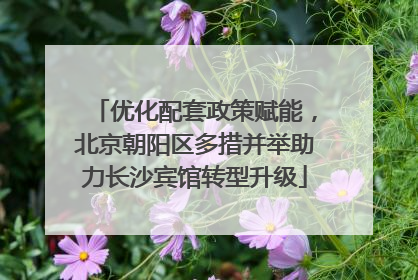 优化配套政策赋能，北京朝阳区多措并举助力长沙宾馆转型升级