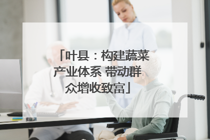 叶县：构建蔬菜产业体系 带动群众增收致富