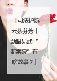 司法护航云茶芬芳丨勐腊易武“断案碑”有啥故事？