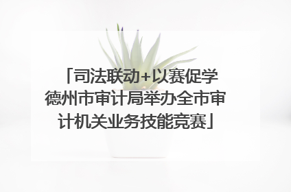 司法联动+以赛促学 德州市审计局举办全市审计机关业务技能竞赛