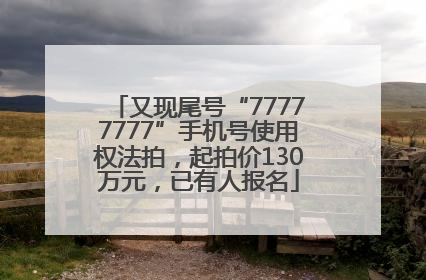 又现尾号“77777777”手机号使用权法拍，起拍价130万元，已有人报名