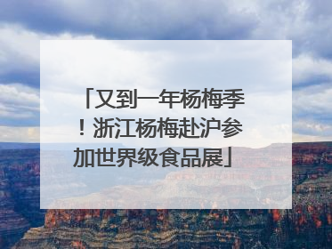 又到一年杨梅季！浙江杨梅赴沪参加世界级食品展