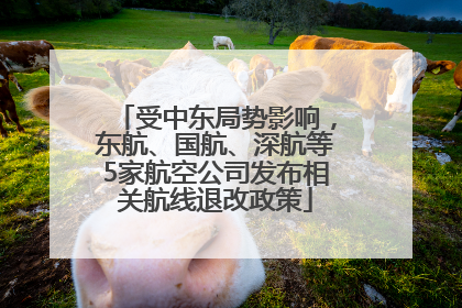 受中东局势影响，东航、国航、深航等5家航空公司发布相关航线退改政策