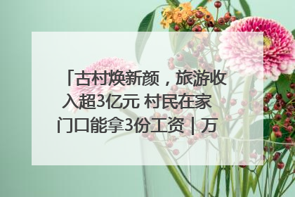 古村焕新颜，旅游收入超3亿元 村民在家门口能拿3份工资｜万千气象看四川
