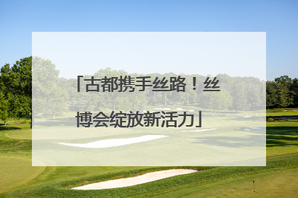 古都携手丝路！丝博会绽放新活力