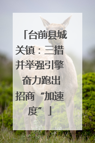台前县城关镇：三措并举强引擎 奋力跑出招商“加速度”