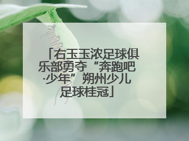 右玉玉浓足球俱乐部勇夺“奔跑吧·少年”朔州少儿足球桂冠