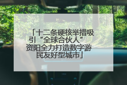 十二条硬核举措吸引“全球合伙人” 资阳全力打造数字游民友好型城市
