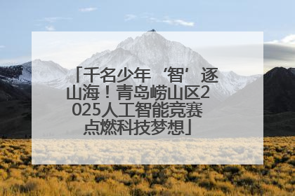 千名少年‘智’逐山海！青岛崂山区2025人工智能竞赛点燃科技梦想