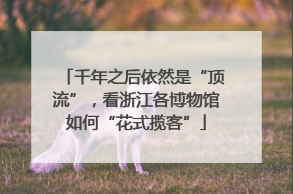 千年之后依然是“顶流”，看浙江各博物馆如何“花式揽客”