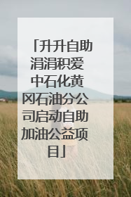 升升自助 涓涓积爱 中石化黄冈石油分公司启动自助加油公益项目