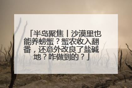 半岛聚焦丨沙漠里也能养螃蟹？蟹农收入翻番，还意外改良了盐碱地？咋做到的？