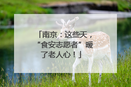 南京：这些天，“食安志愿者”暖了老人心！