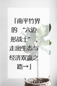 南平竹界的 “六边形战士”，走出生态与经济双赢之路→