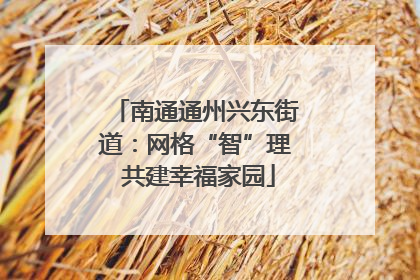 南通通州兴东街道：网格“智”理 共建幸福家园