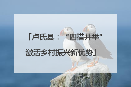 卢氏县：“四措并举”激活乡村振兴新优势