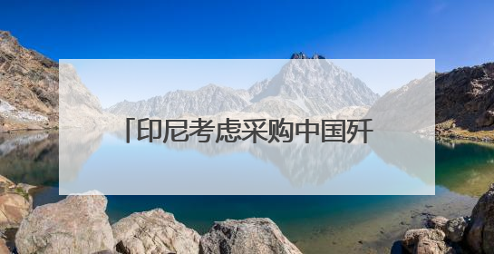 印尼考虑采购中国歼-10战斗机 正评估性能与成本优势
