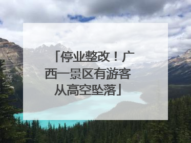 停业整改！广西一景区有游客从高空坠落