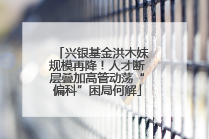 兴银基金洪木妹规模再降！人才断层叠加高管动荡“偏科”困局何解
