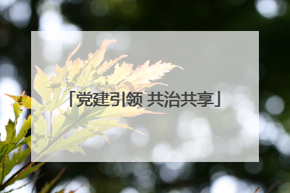 党建引领 共治共享