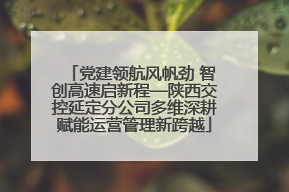党建领航风帆劲 智创高速启新程—陕西交控延定分公司多维深耕赋能运营管理新跨越