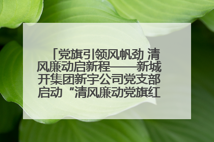 党旗引领风帆劲 清风廉动启新程——新城开集团新宇公司党支部启动“清风廉动党旗红”系列活动