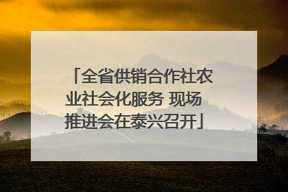 全省供销合作社农业社会化服务 现场推进会在泰兴召开