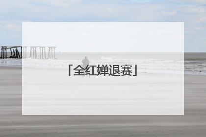 全红婵退赛