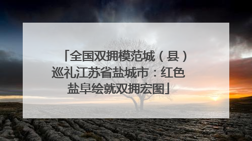 全国双拥模范城（县）巡礼江苏省盐城市：红色盐阜绘就双拥宏图