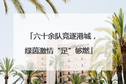 六十余队竞逐港城，绿茵激情“足”够燃