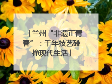 兰州“非遗正青春”：千年技艺碰撞现代生活