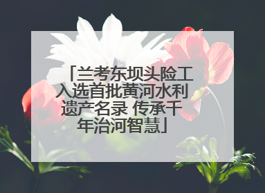 兰考东坝头险工入选首批黄河水利遗产名录 传承千年治河智慧