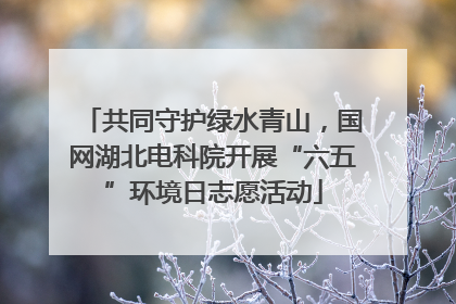 共同守护绿水青山，国网湖北电科院开展“六五”环境日志愿活动