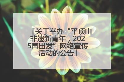 关于举办“平顶山非遗新青年，2025再出发”网络宣传活动的公告