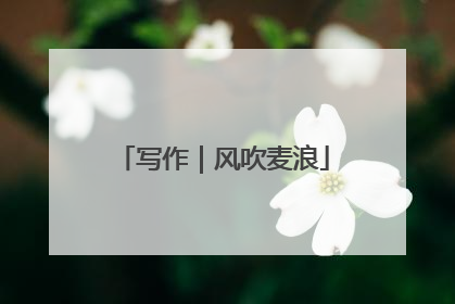 写作｜风吹麦浪