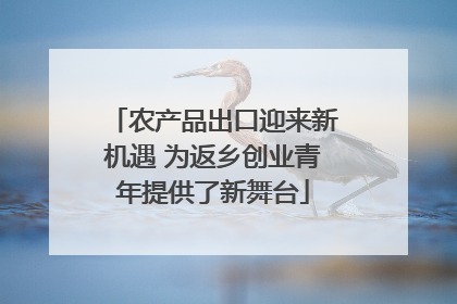 农产品出口迎来新机遇 为返乡创业青年提供了新舞台