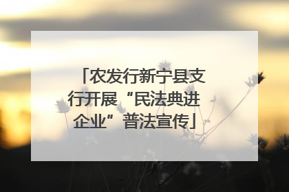 农发行新宁县支行开展“民法典进企业”普法宣传