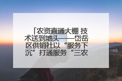 农资直通大棚 技术送到地头——岱岳区供销社以“服务下沉”打通服务“三农”最后一公里