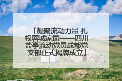 凝聚流动力量 扎根蓉城家园——四川盐亭流动党员成都党支部正式揭牌成立