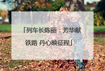 列车长陈丽：芳华献铁路 丹心映征程