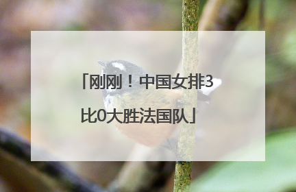 刚刚！中国女排3比0大胜法国队