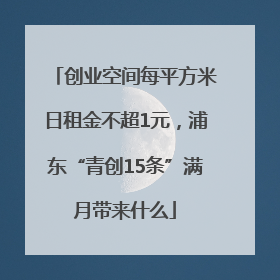 创业空间每平方米日租金不超1元，浦东“青创15条”满月带来什么