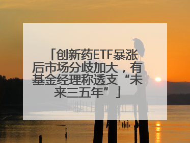 创新药ETF暴涨后市场分歧加大，有基金经理称透支“未来三五年”